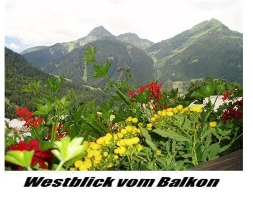 Apartamento Haus Lifinar - Carmen Juen Sankt Gallenkirch Exterior foto
